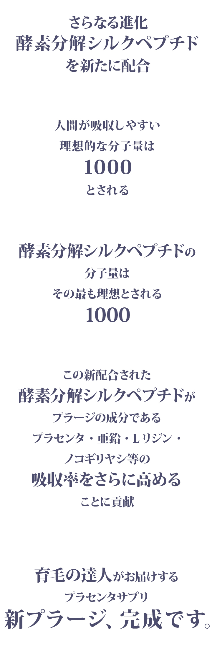 新プラージA5