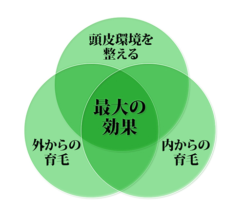 育毛3方向